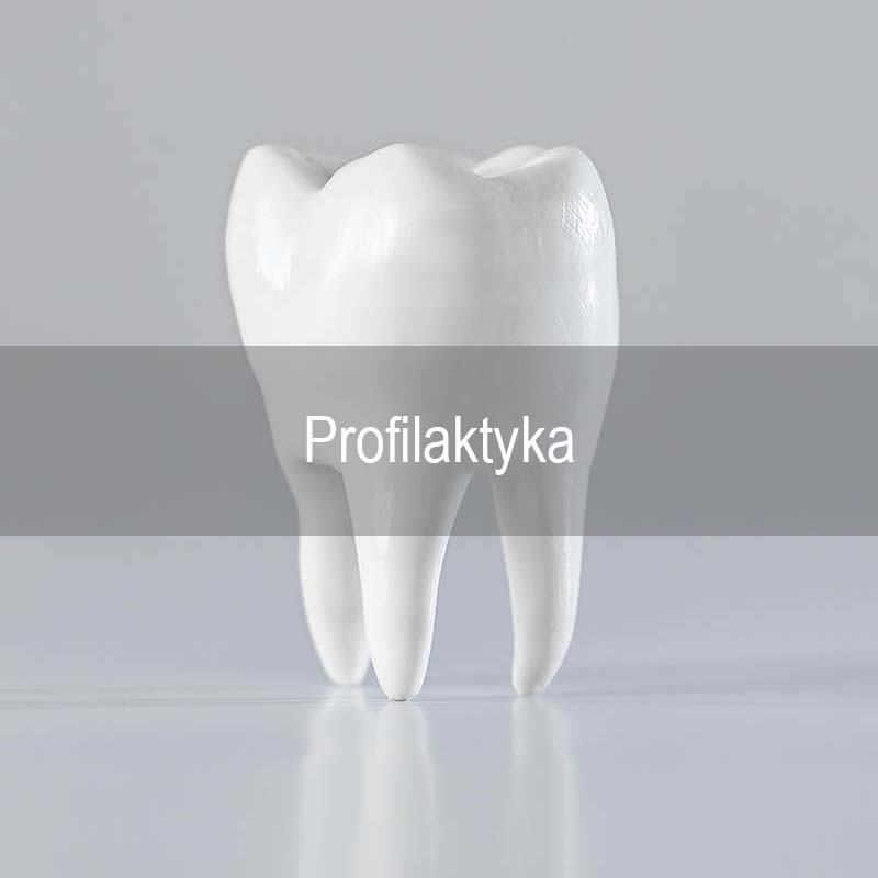Profilaktyka stomatologiczna Gdańsk - infografika oferty Neodentica